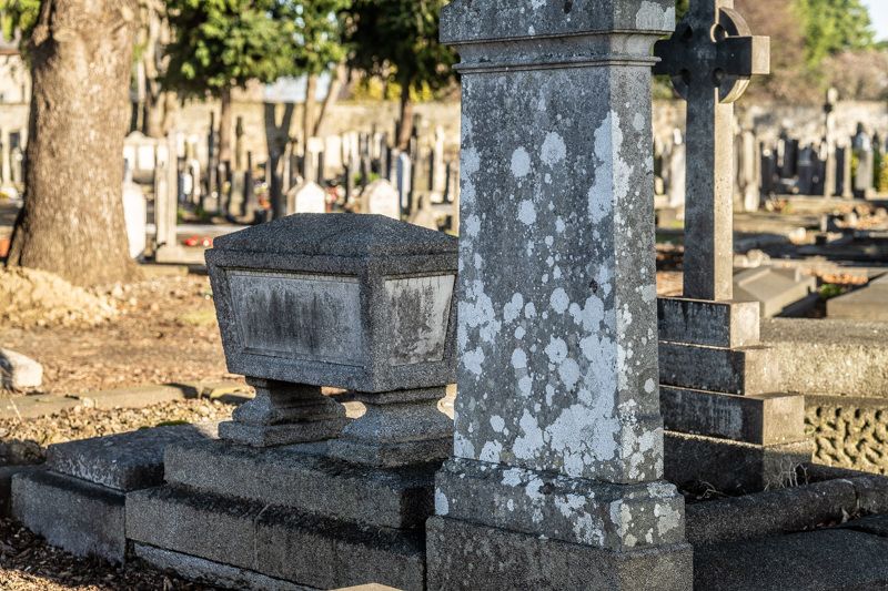 THE DECLINE AND RESTORATION OF A VICTORIAN CEMETERY 159797