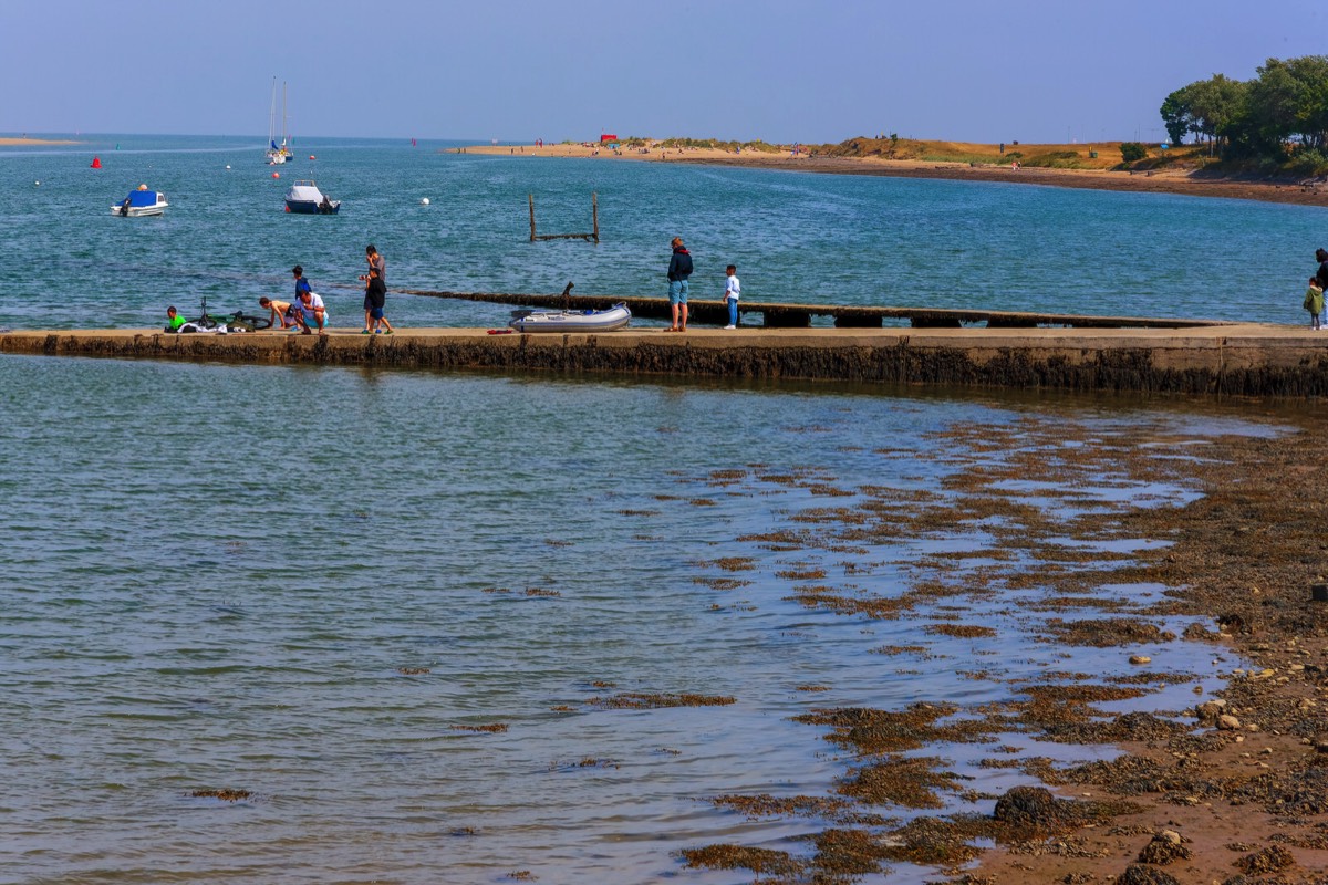 WATER FRONT - MALAHIDE COAST ROAD 002