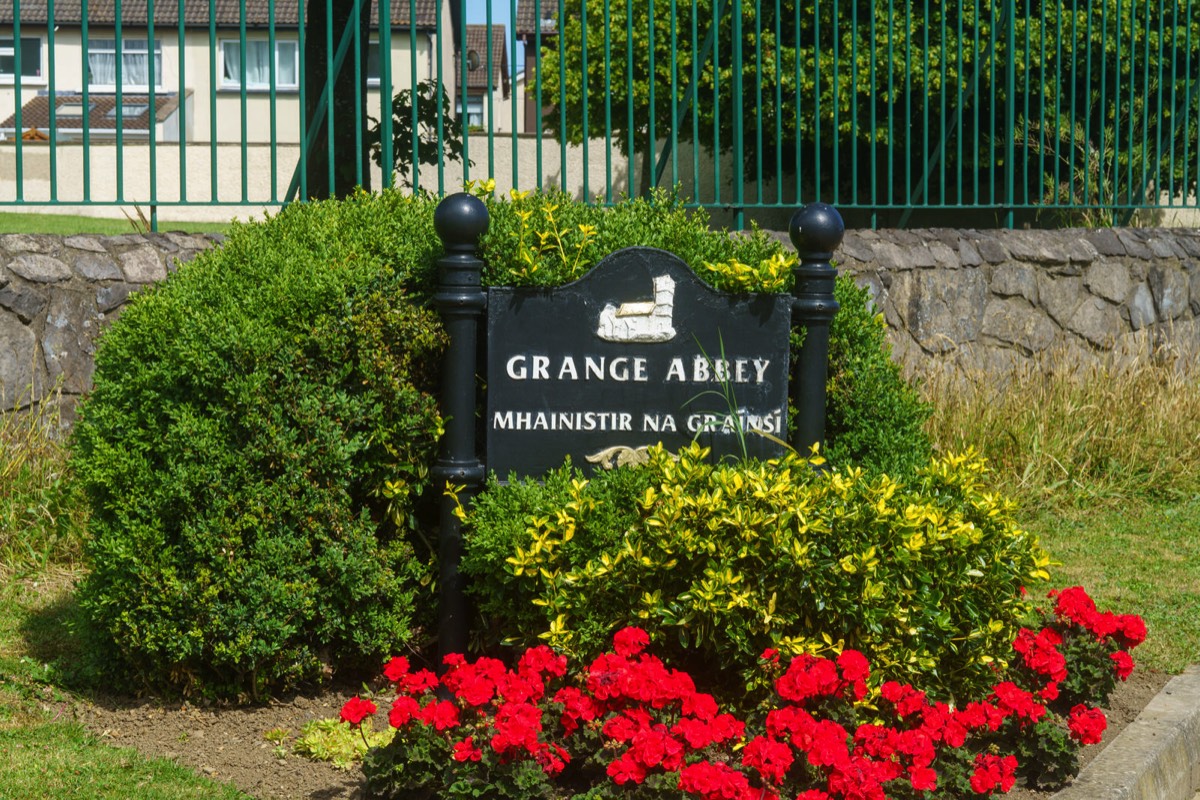 GRANGE ABBEY IN DONAGHMEAD  001