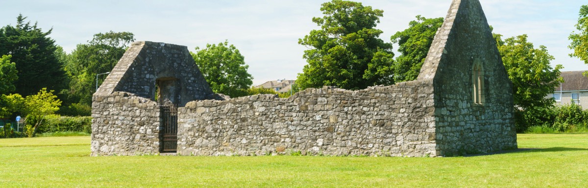 GRANGE ABBEY IN DONAGHMEAD  007