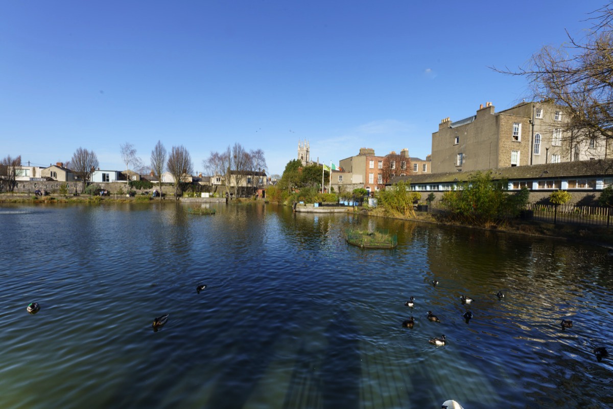 A VISIT TO BLESSINGTON BASIN 003