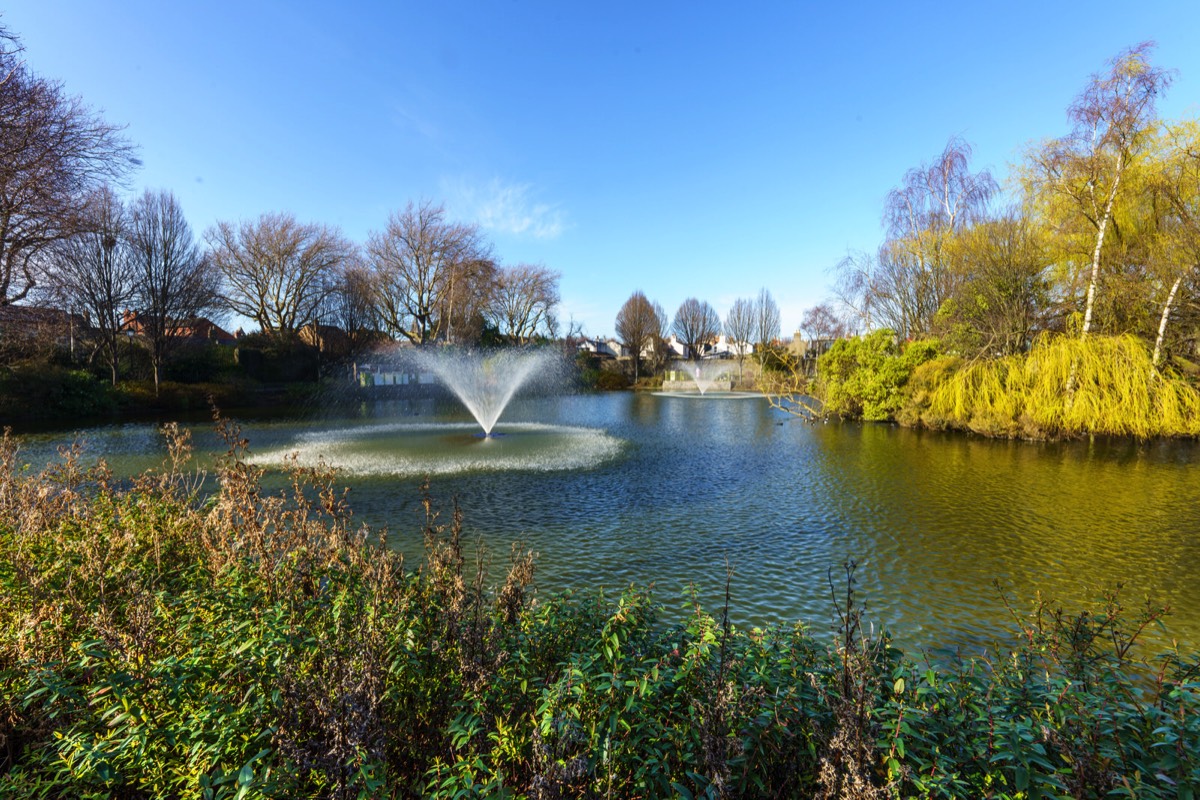 A VISIT TO BLESSINGTON BASIN 008