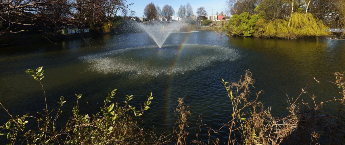 A VISIT TO BLESSINGTON BASIN 009