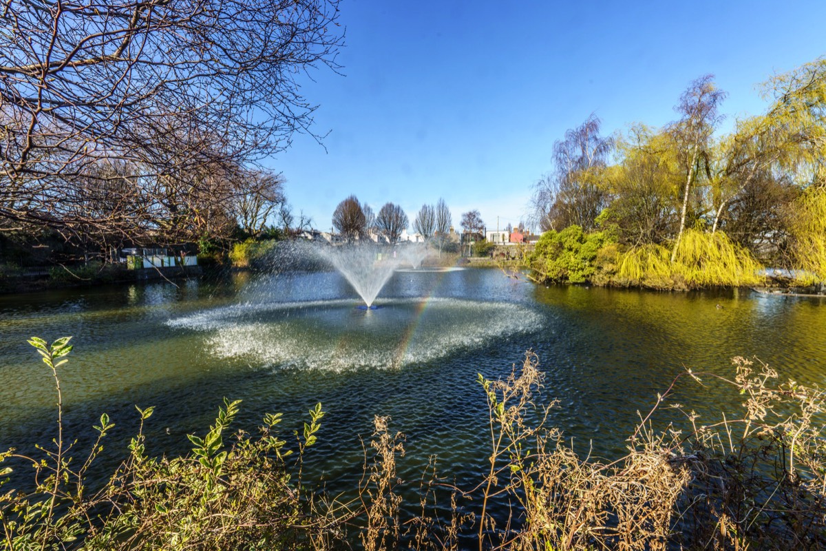 A VISIT TO BLESSINGTON BASIN 010