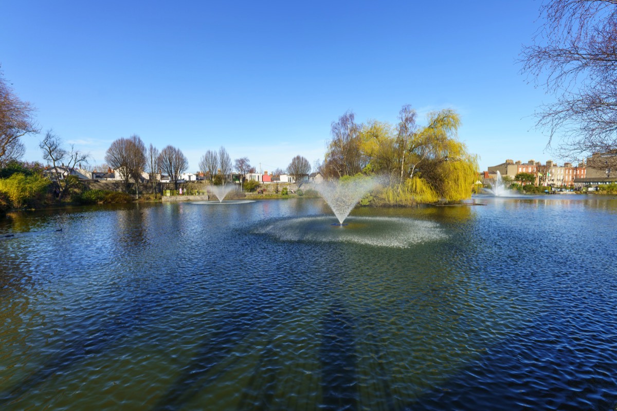 A VISIT TO BLESSINGTON BASIN 014