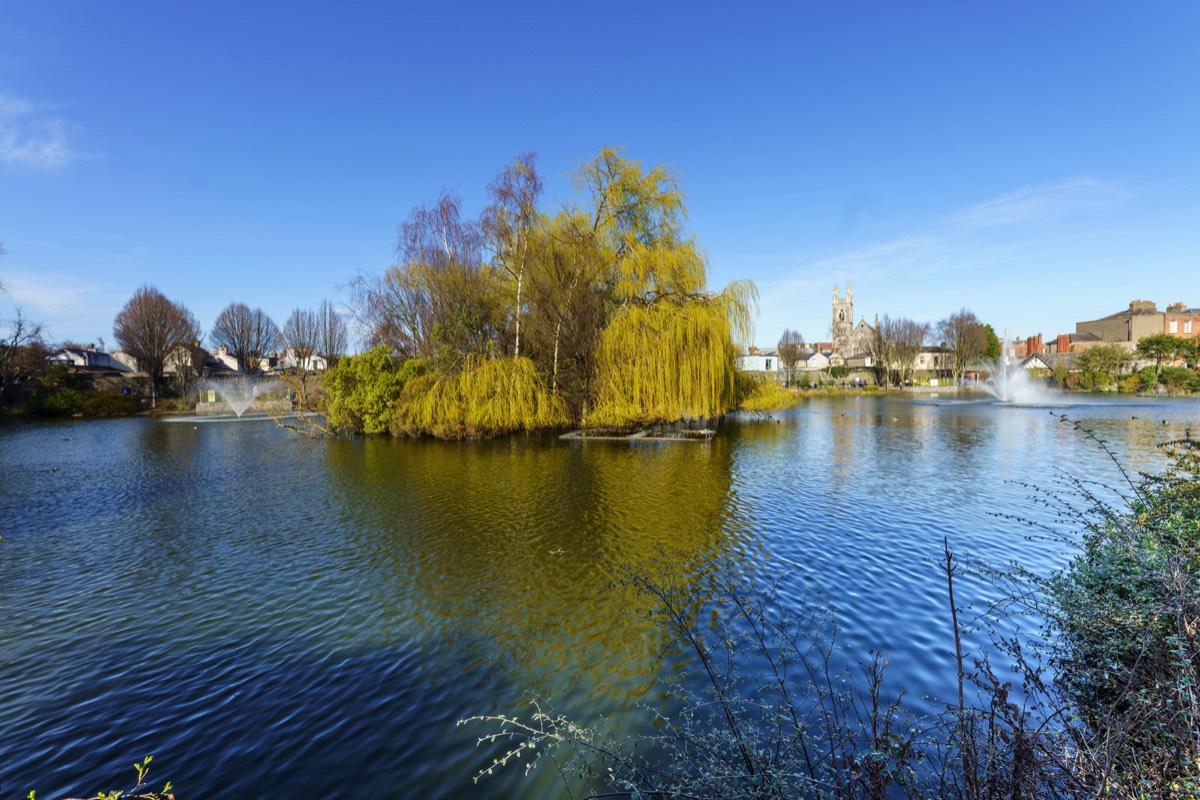 A VISIT TO BLESSINGTON BASIN 015