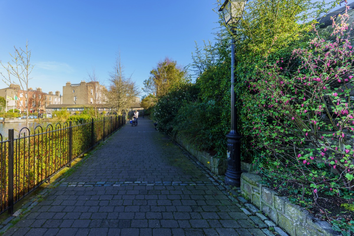 A VISIT TO BLESSINGTON BASIN 018