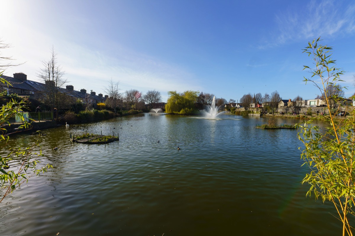 A VISIT TO BLESSINGTON BASIN 021