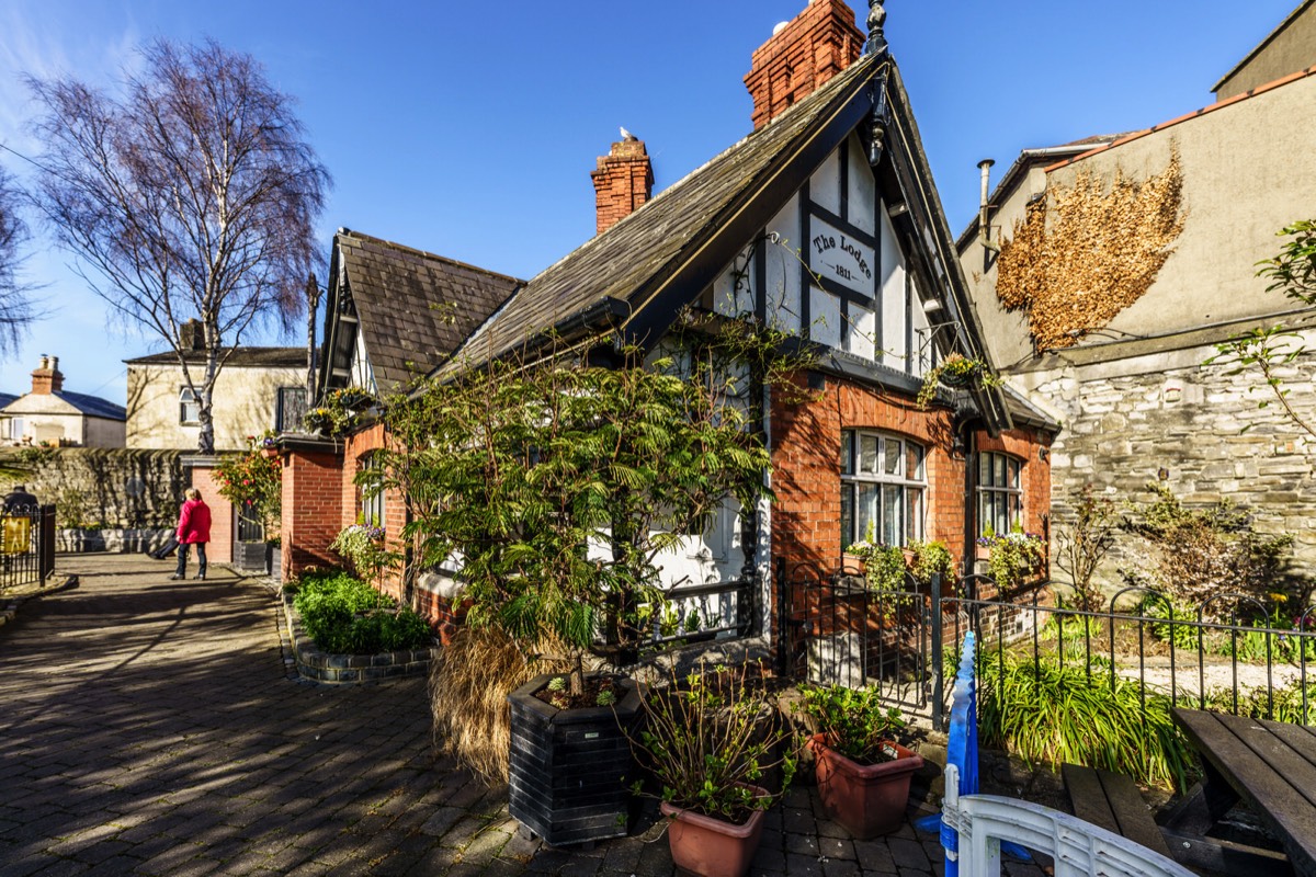 A VISIT TO BLESSINGTON BASIN 022