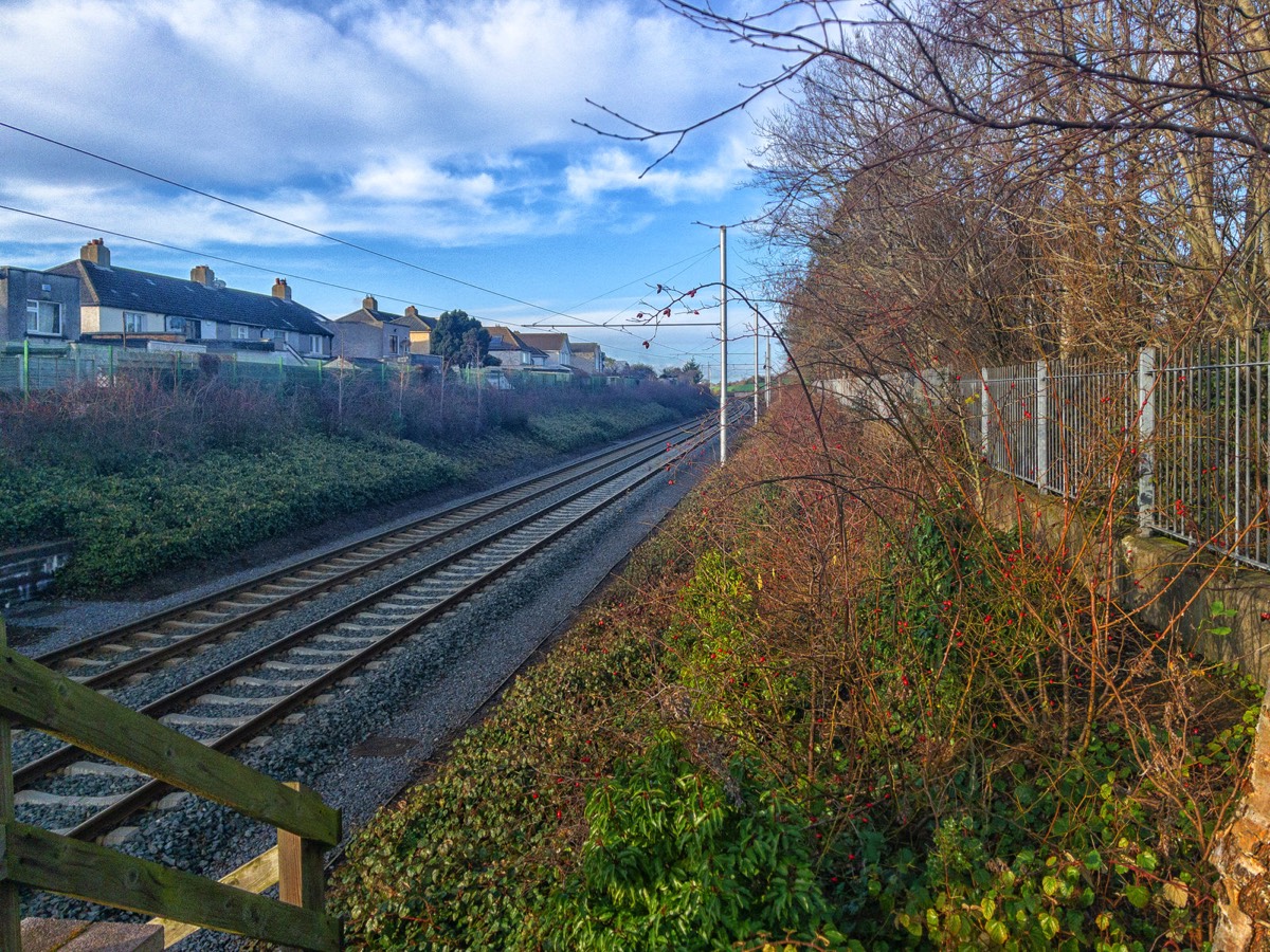 CABRA LUAS TRAM STOP 010