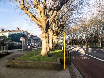  ANNOYING BUS STOP 