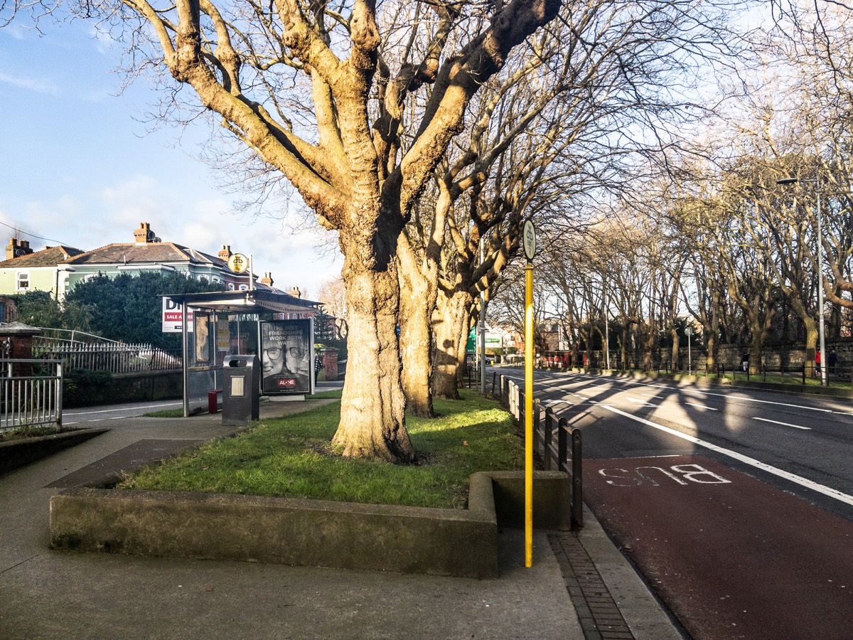 MY LEAST FAVOURITE BUS STOP EVER 002