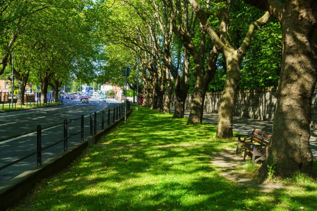 THE LEAFY STREETS OF DRUMCONDRA - LOWER DRUMCONDRA ROAD  001