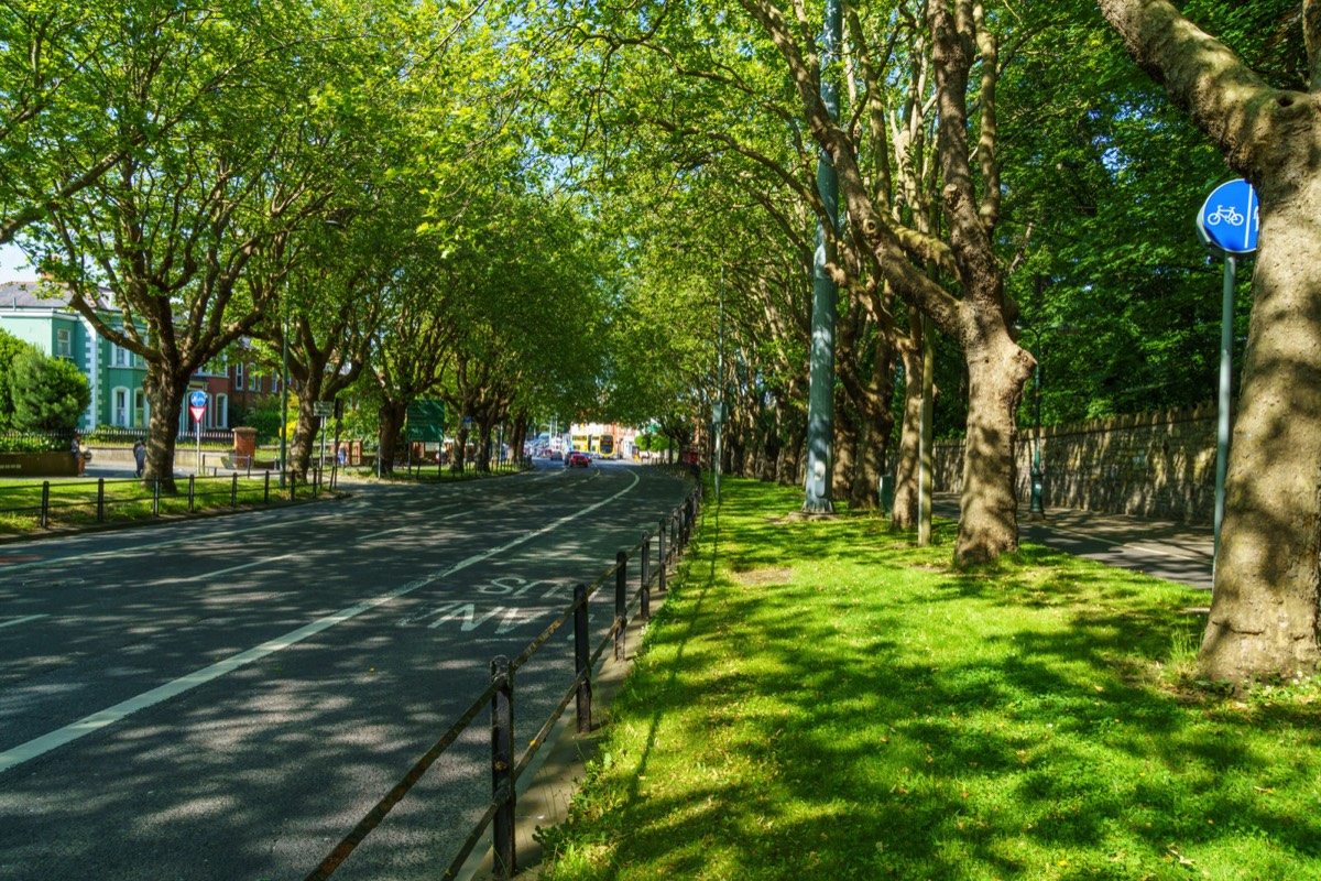 THE LEAFY STREETS OF DRUMCONDRA - LOWER DRUMCONDRA ROAD  002