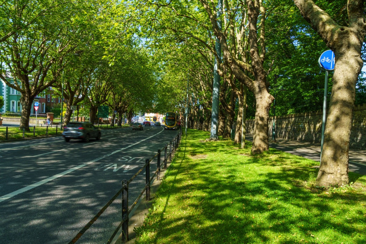 THE LEAFY STREETS OF DRUMCONDRA - LOWER DRUMCONDRA ROAD  003