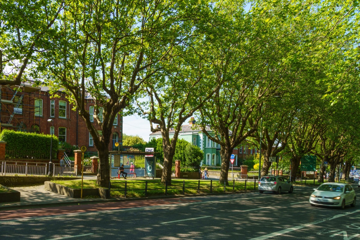 THE LEAFY STREETS OF DRUMCONDRA - LOWER DRUMCONDRA ROAD  005