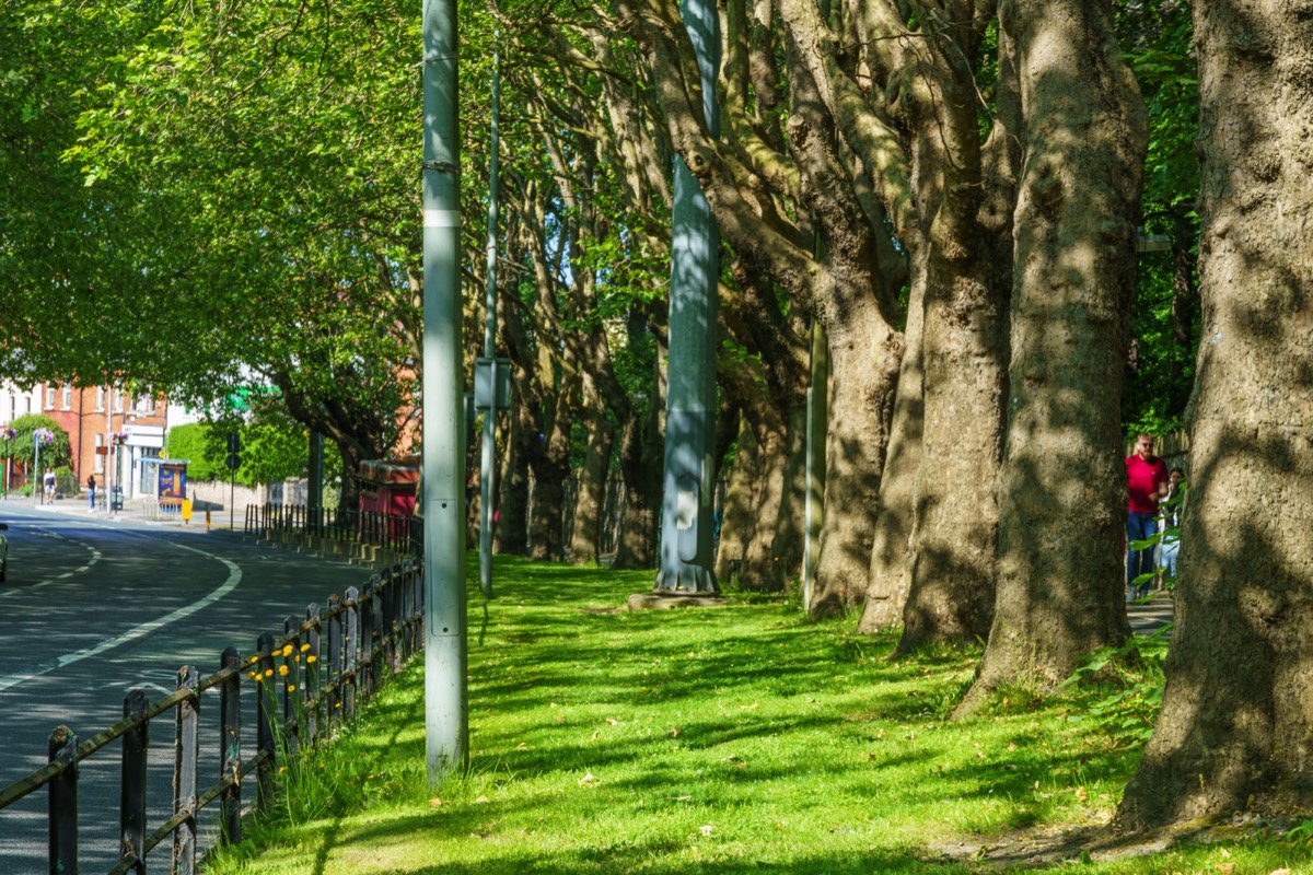 THE LEAFY STREETS OF DRUMCONDRA - LOWER DRUMCONDRA ROAD  006