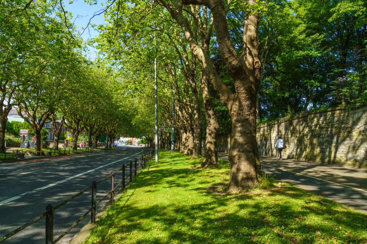 THE LEAFY STREETS OF DRUMCONDRA - LOWER DRUMCONDRA ROAD  007