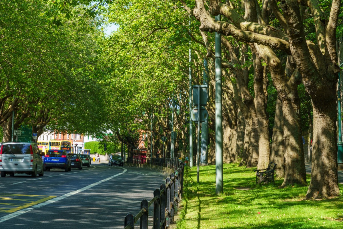 THE LEAFY STREETS OF DRUMCONDRA - LOWER DRUMCONDRA ROAD  009