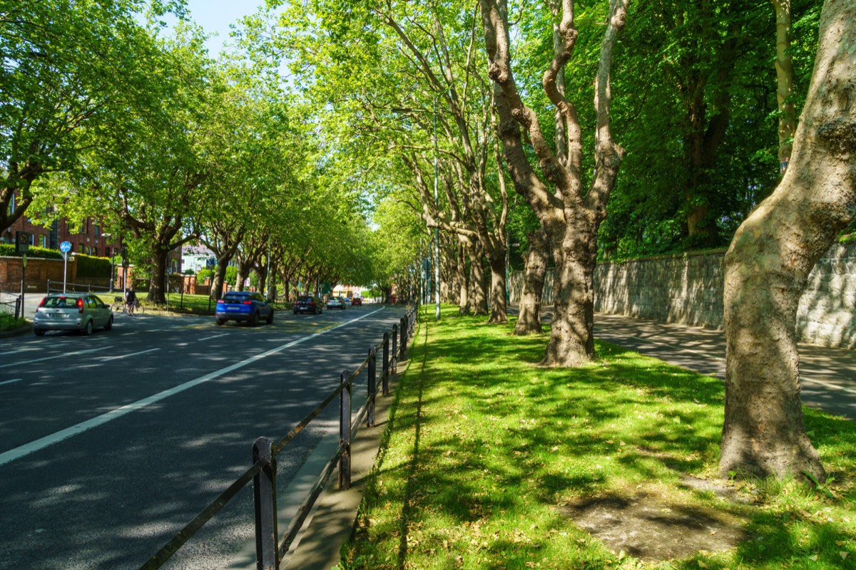 THE LEAFY STREETS OF DRUMCONDRA - LOWER DRUMCONDRA ROAD  010