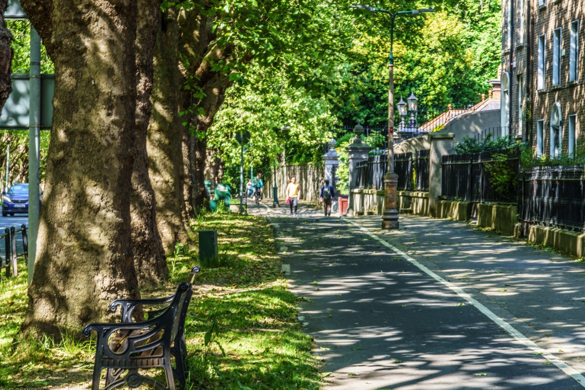 THE LEAFY STREETS OF DRUMCONDRA - LOWER DRUMCONDRA ROAD  018