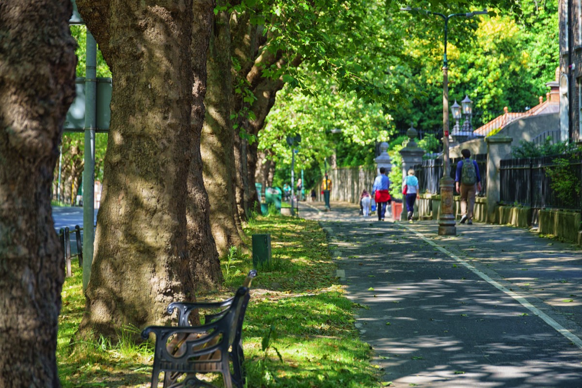 THE LEAFY STREETS OF DRUMCONDRA - LOWER DRUMCONDRA ROAD  020