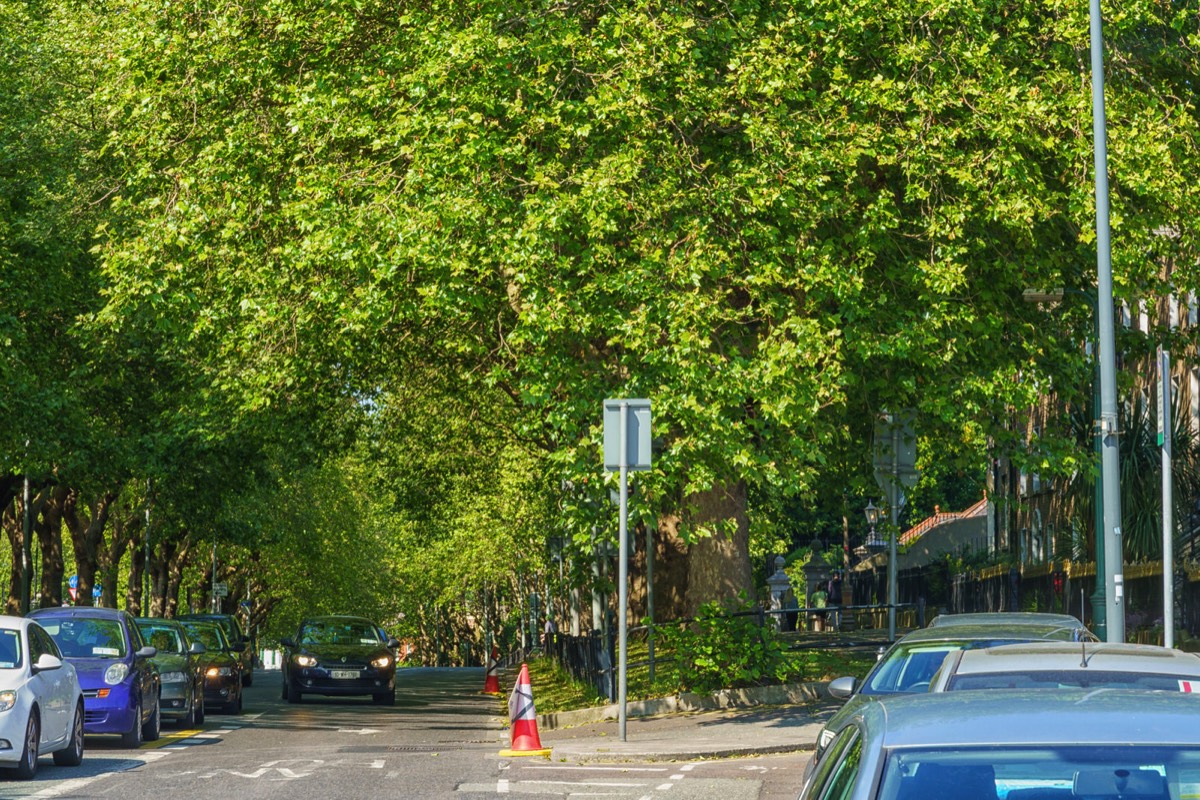 THE LEAFY STREETS OF DRUMCONDRA - LOWER DRUMCONDRA ROAD  029