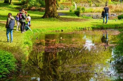  THE POND IS POPULAR WITH CHILDREN - BOTANIC GARDENS MAY 2021  