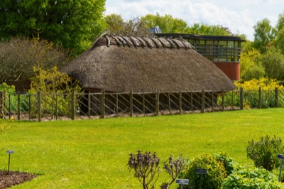  WILD MEADOWS - BOTANIC GARDENS 