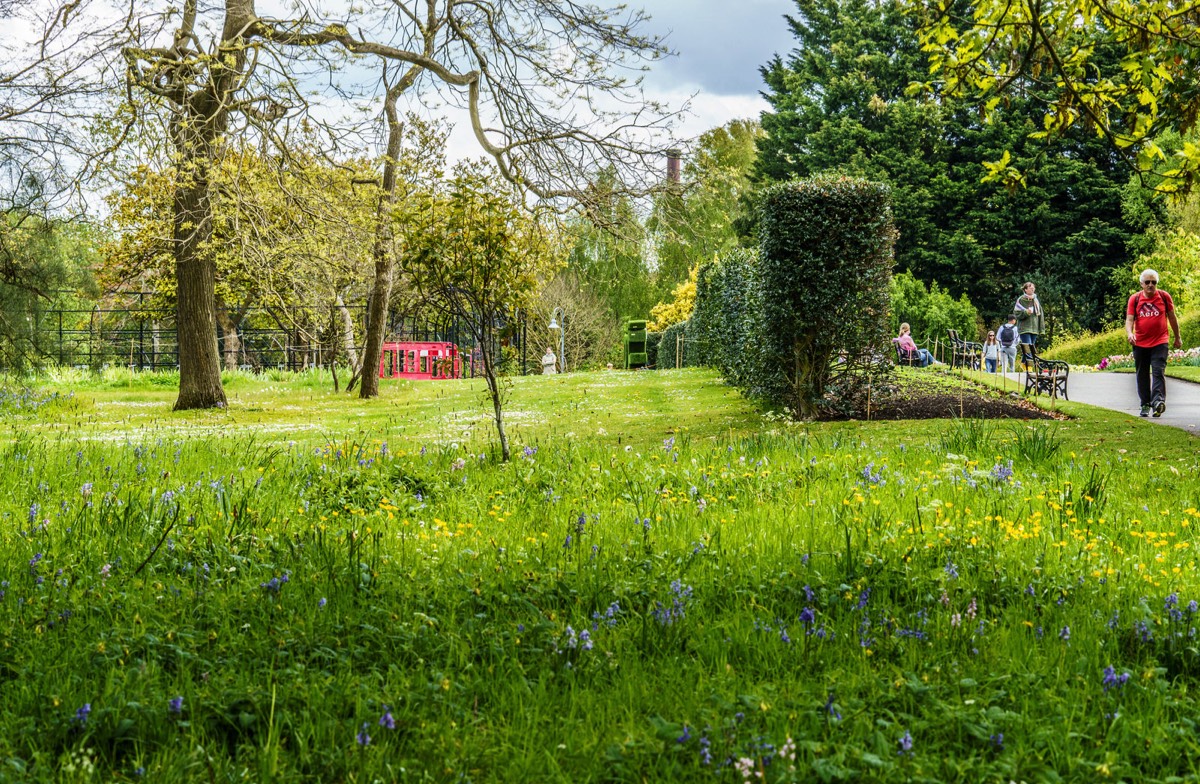 WILD MEADOW AREAS - BOTANIC GARDENS IN DUBLIN 008