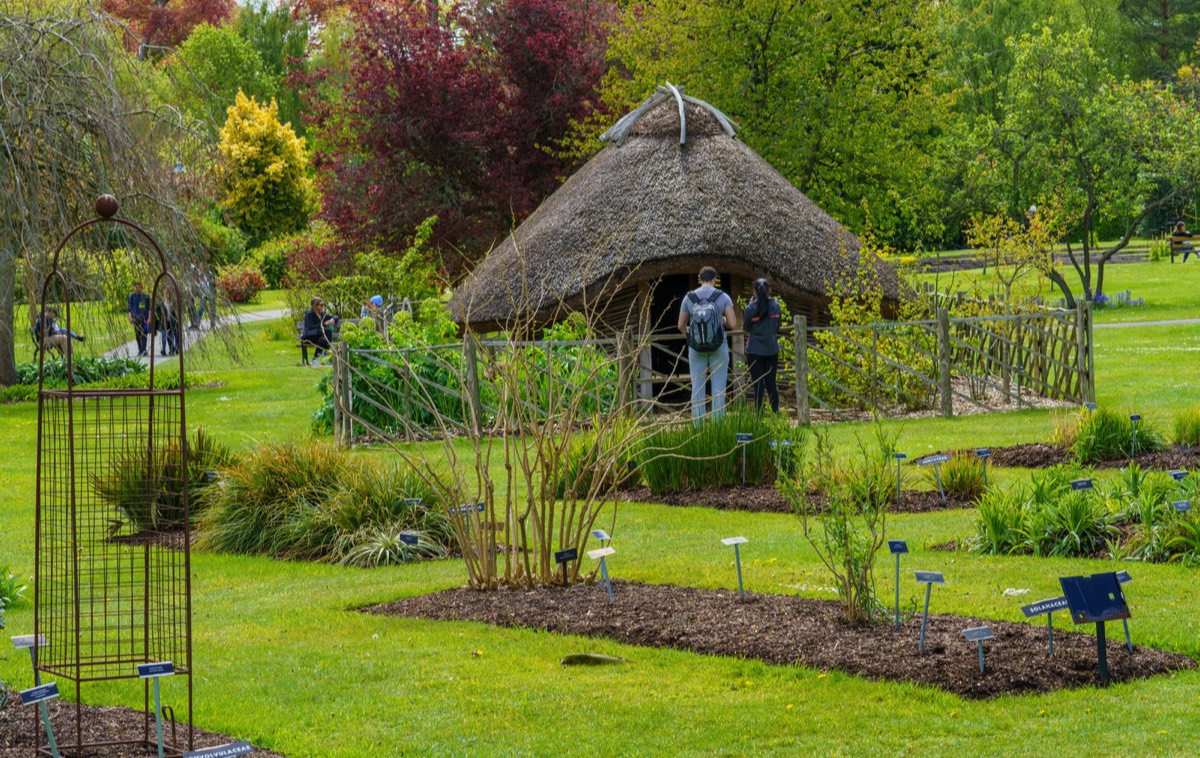 VIKING HOUSE AT THE BOTANIC GARDENS 003