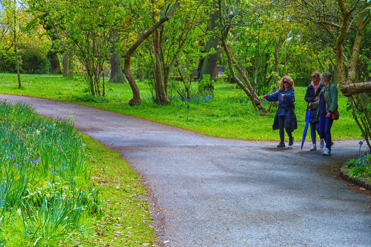 WILD MEADOW AREAS - BOTANIC GARDENS IN DUBLIN 002