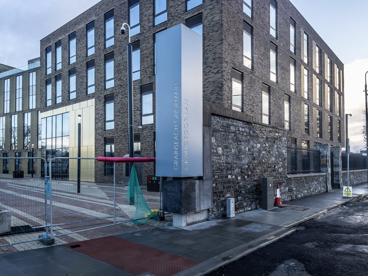 JANUARY 2021 VISIT TO LOWER GRANGEGORMAN 002