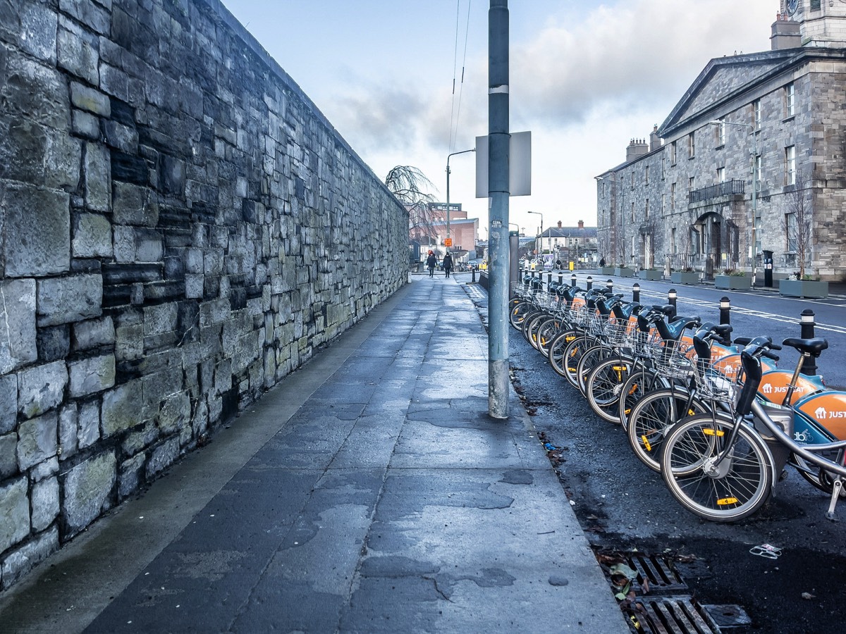 JANUARY 2021 VISIT TO LOWER GRANGEGORMAN 006