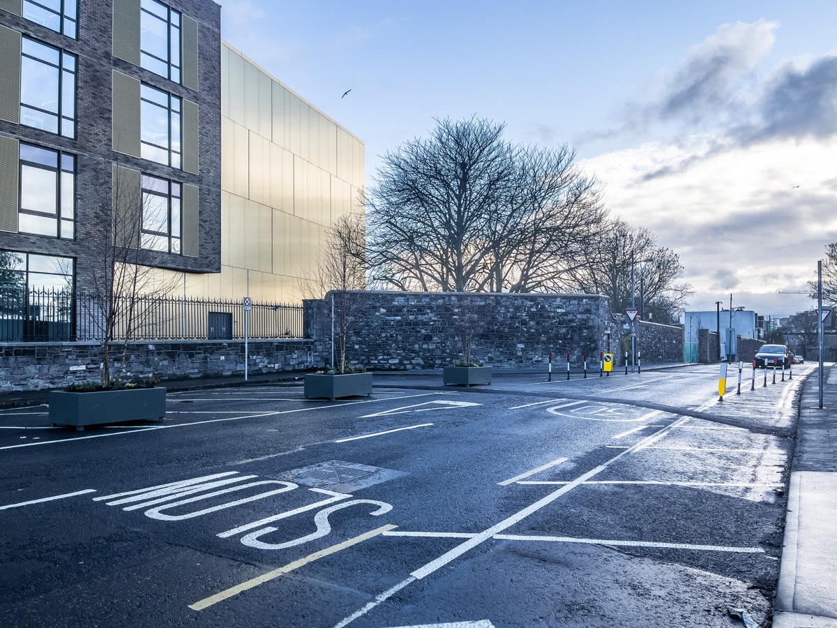 JANUARY 2021 VISIT TO LOWER GRANGEGORMAN 007