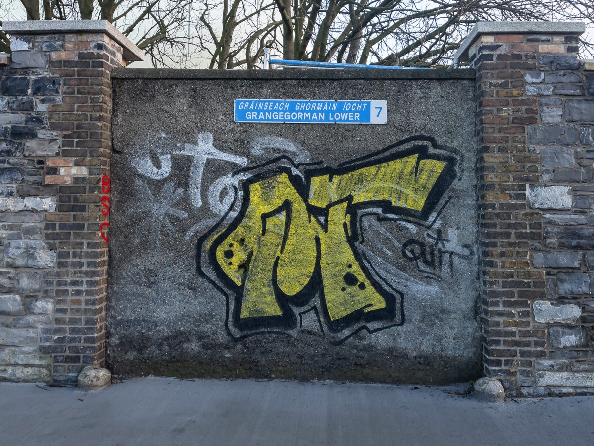 JANUARY 2021 VISIT TO LOWER GRANGEGORMAN 008