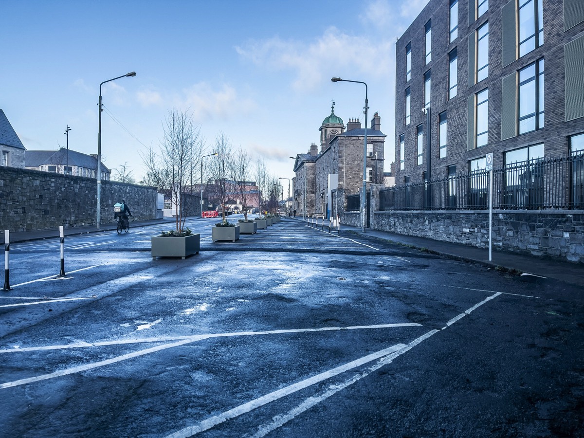 JANUARY 2021 VISIT TO LOWER GRANGEGORMAN 013