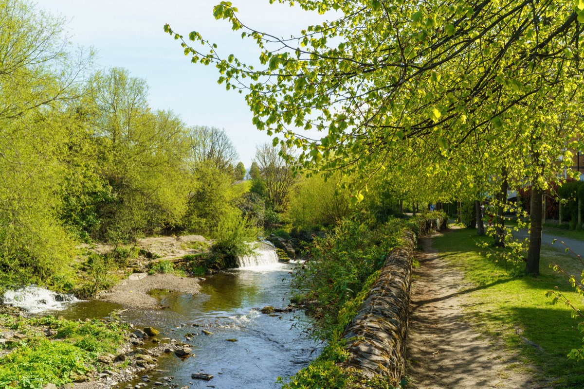 THE RIVER DODDER AT MILLTOWN NEAR THE PACKHORSE BRIDGE  011