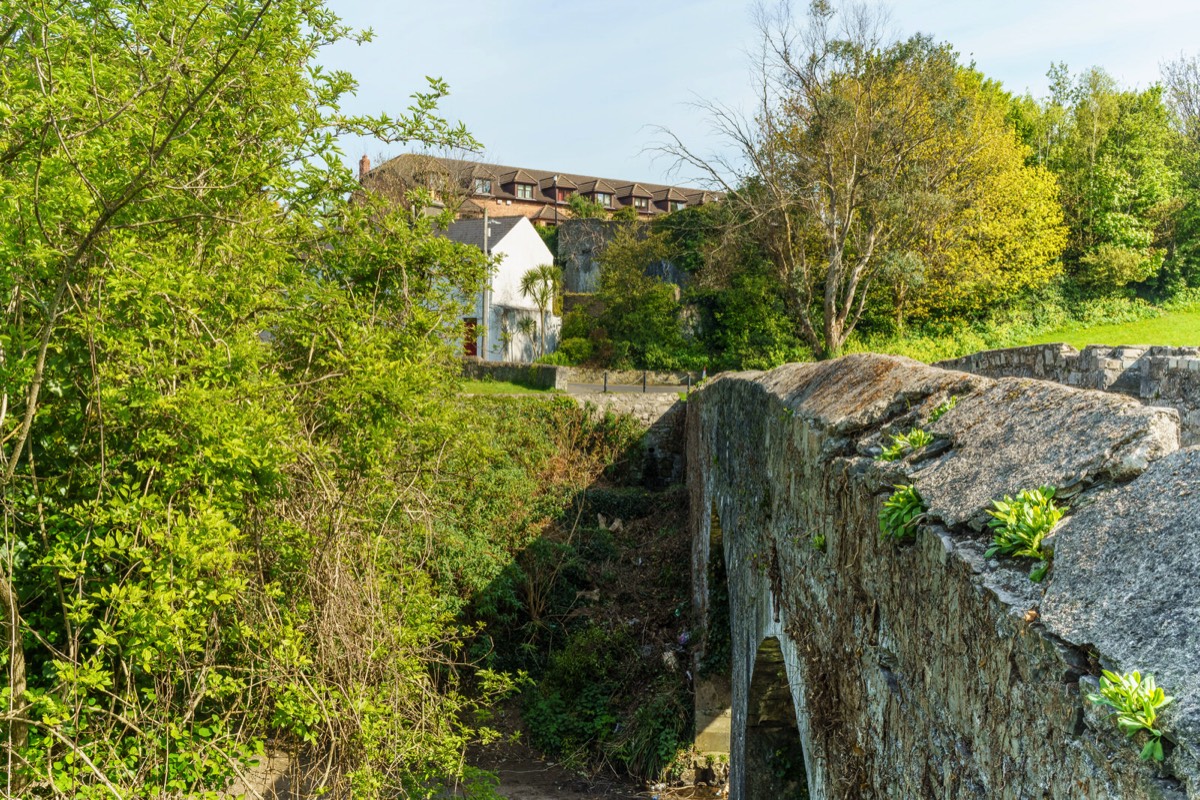 THE RIVER DODDER AT MILLTOWN NEAR THE PACKHORSE BRIDGE  017