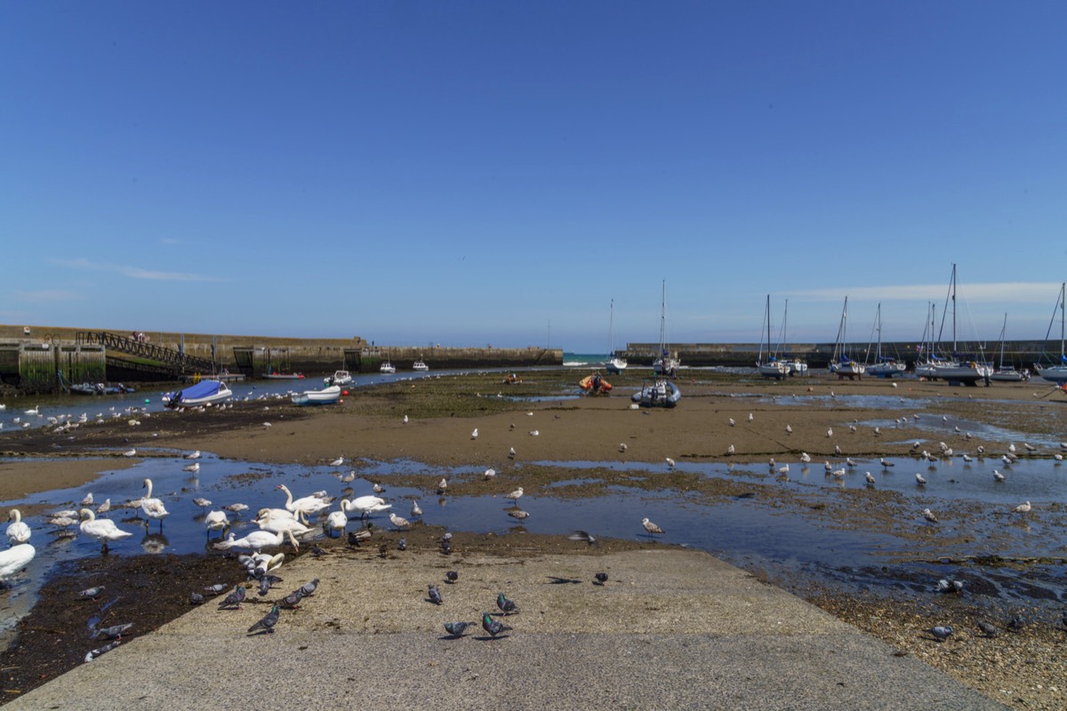 BRAY HARBOUR AND NEARBY 015