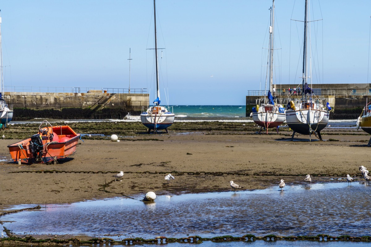 BRAY HARBOUR AND NEARBY 019