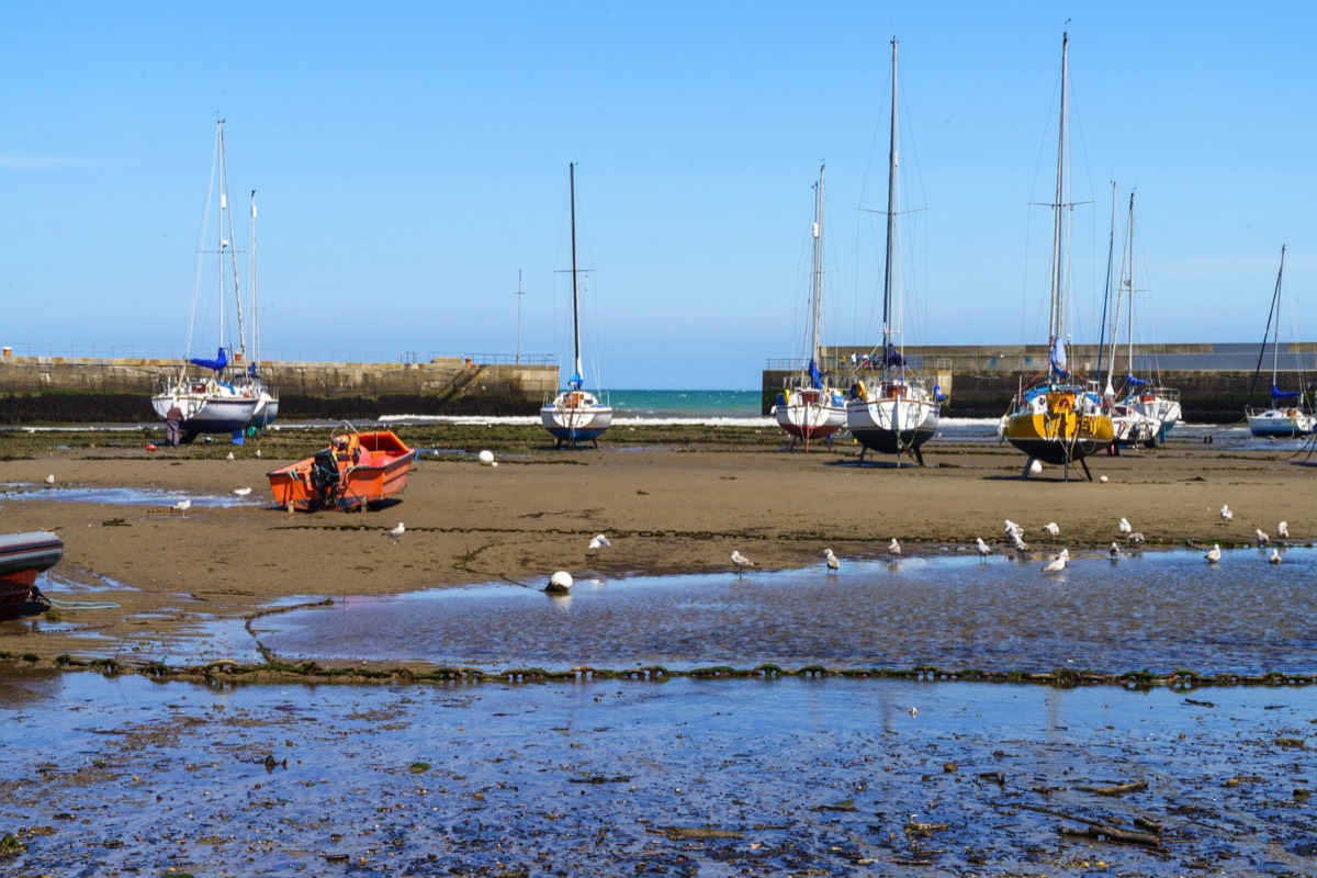 BRAY HARBOUR AND NEARBY 020