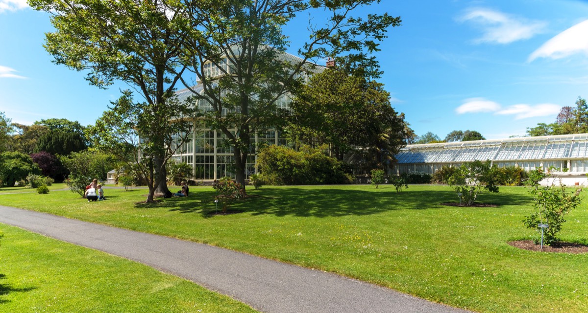 PLANTED GLASSHOUSES AT THE BOTANIC GARDENS   003