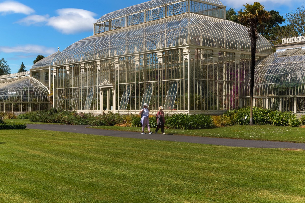 PLANTED GLASSHOUSES AT THE BOTANIC GARDENS   008