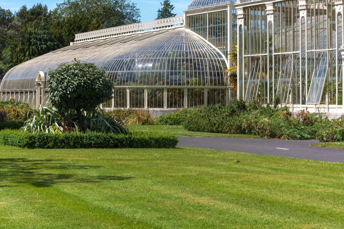 PLANTED GLASSHOUSES AT THE BOTANIC GARDENS   009