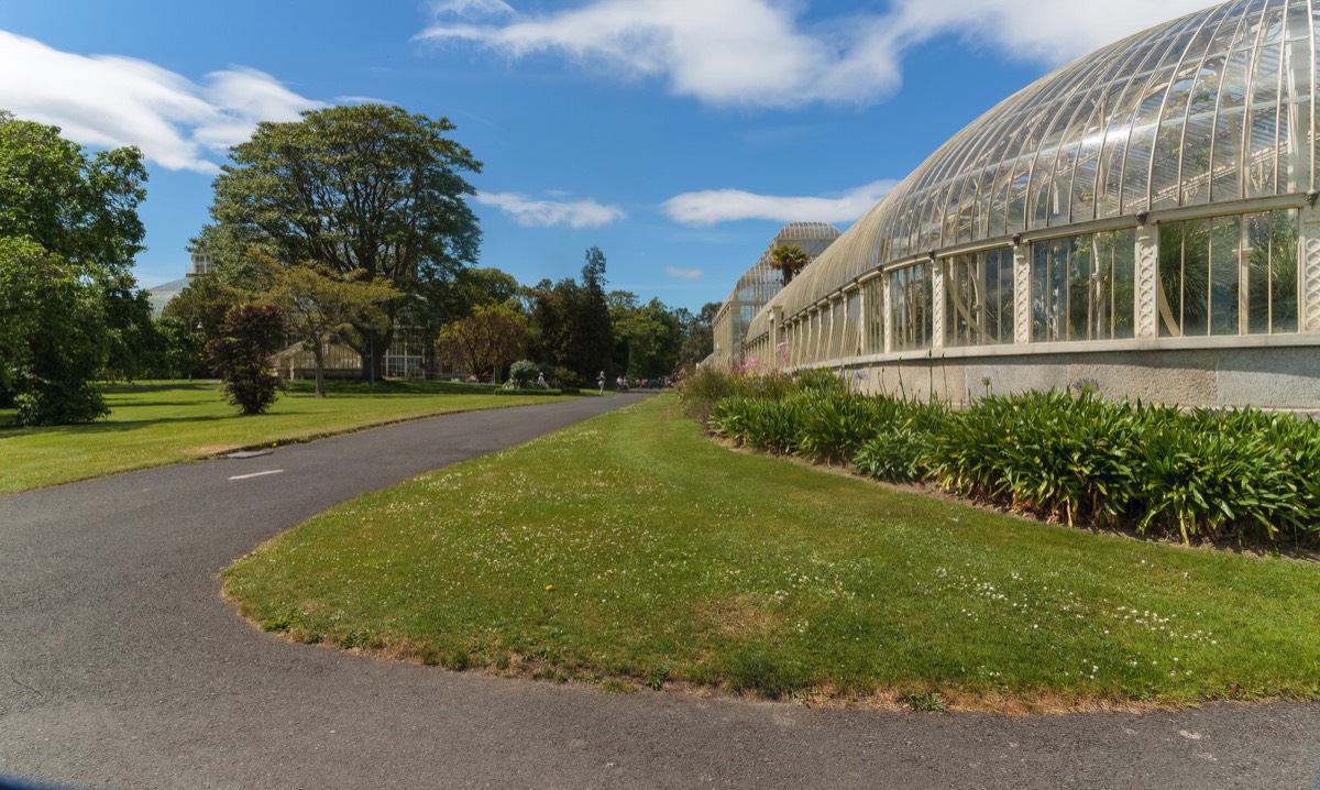 PLANTED GLASSHOUSES AT THE BOTANIC GARDENS   010