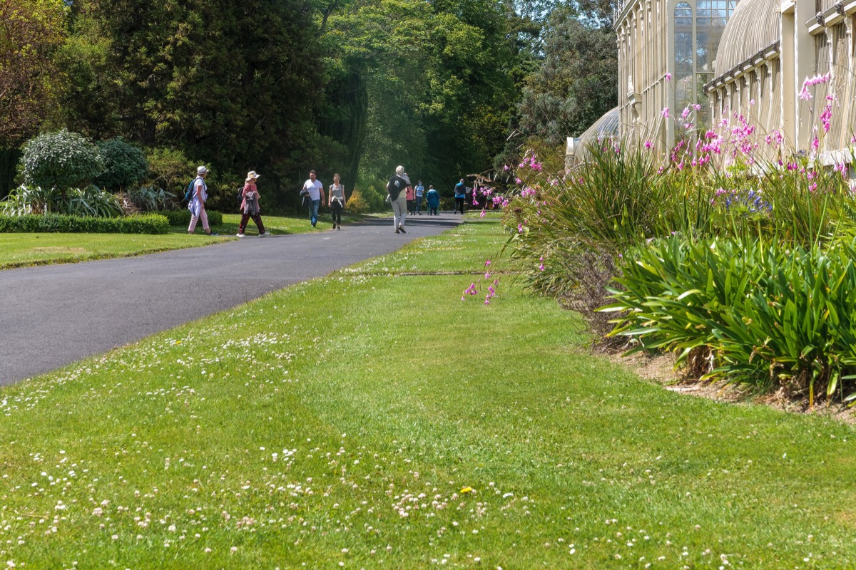 PLANTED GLASSHOUSES AT THE BOTANIC GARDENS   011