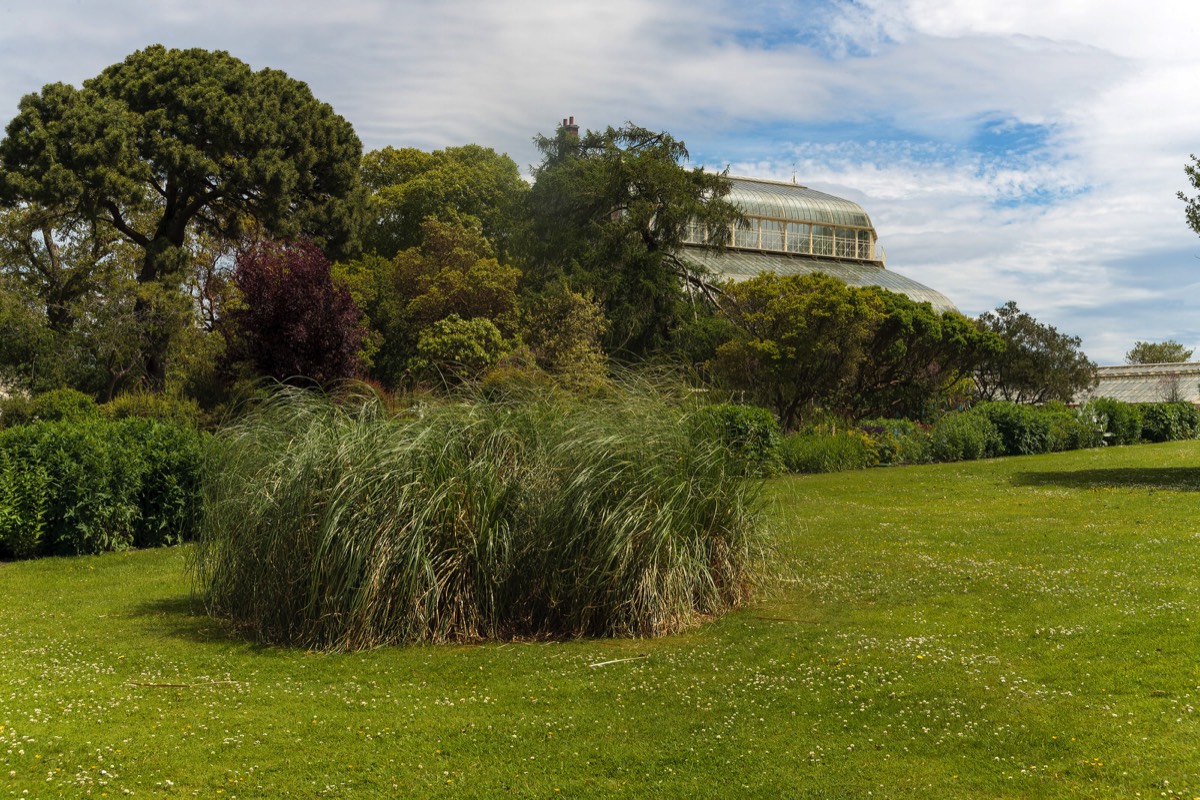 PLANTED GLASSHOUSES AT THE BOTANIC GARDENS   013