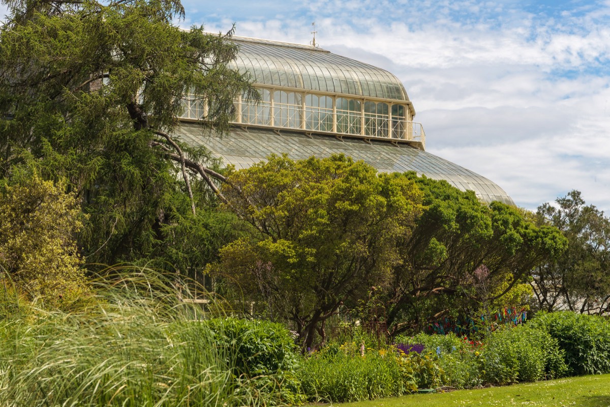 PLANTED GLASSHOUSES AT THE BOTANIC GARDENS   014