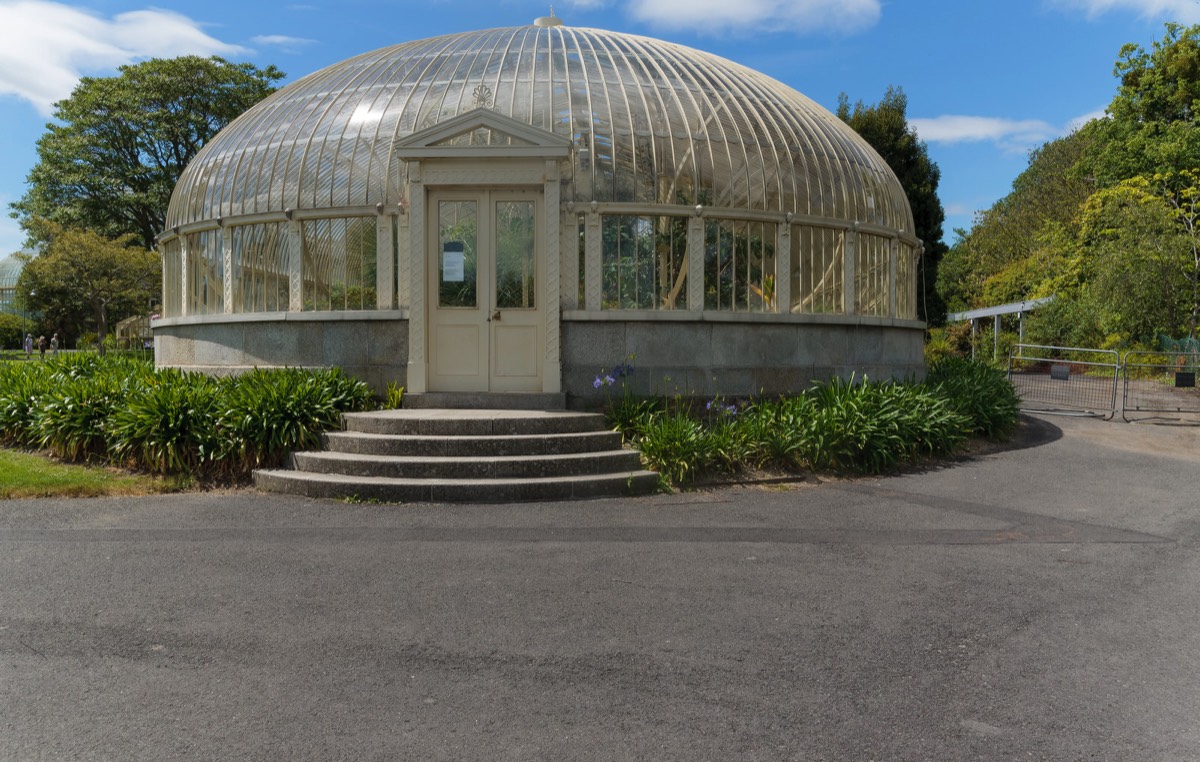 PLANTED GLASSHOUSES AT THE BOTANIC GARDENS   016